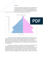 Population Pyramid