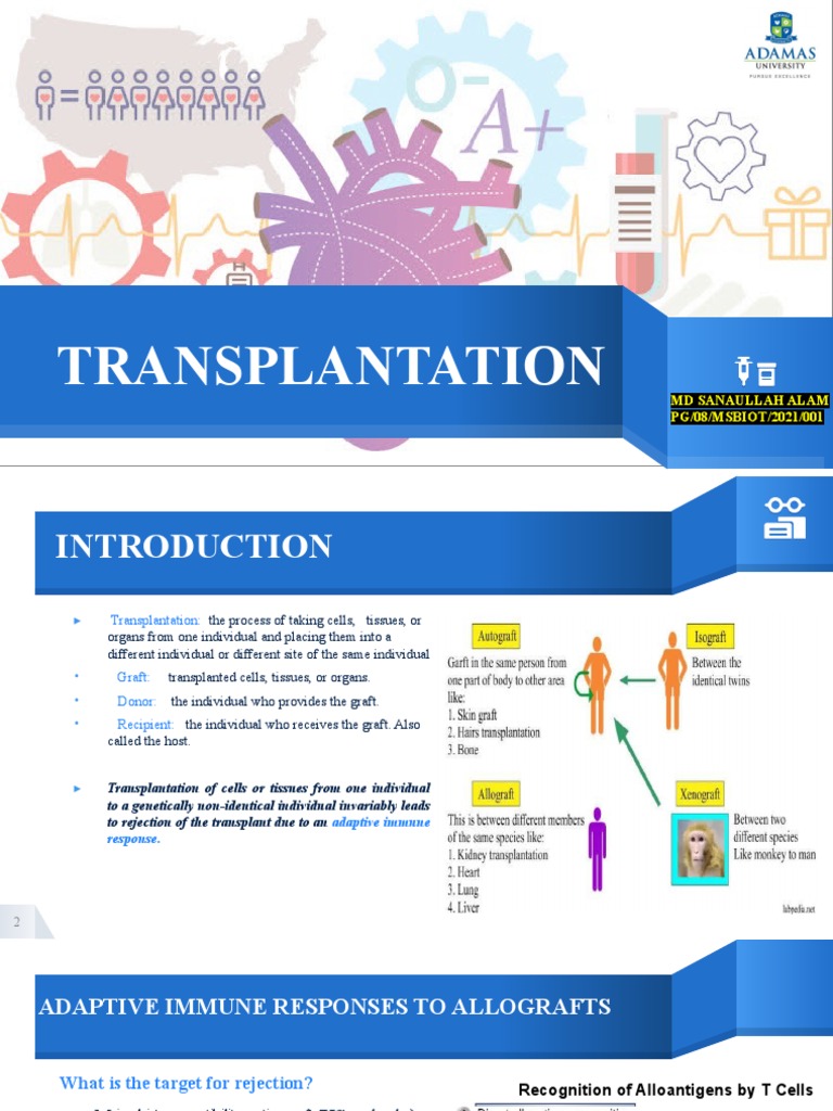Transplantation PDF Transplant Rejection Major