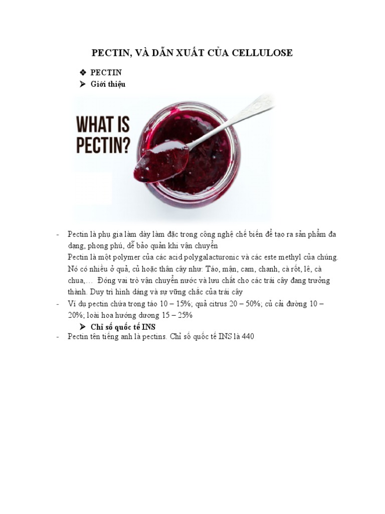 Pectin Cellulose PDF