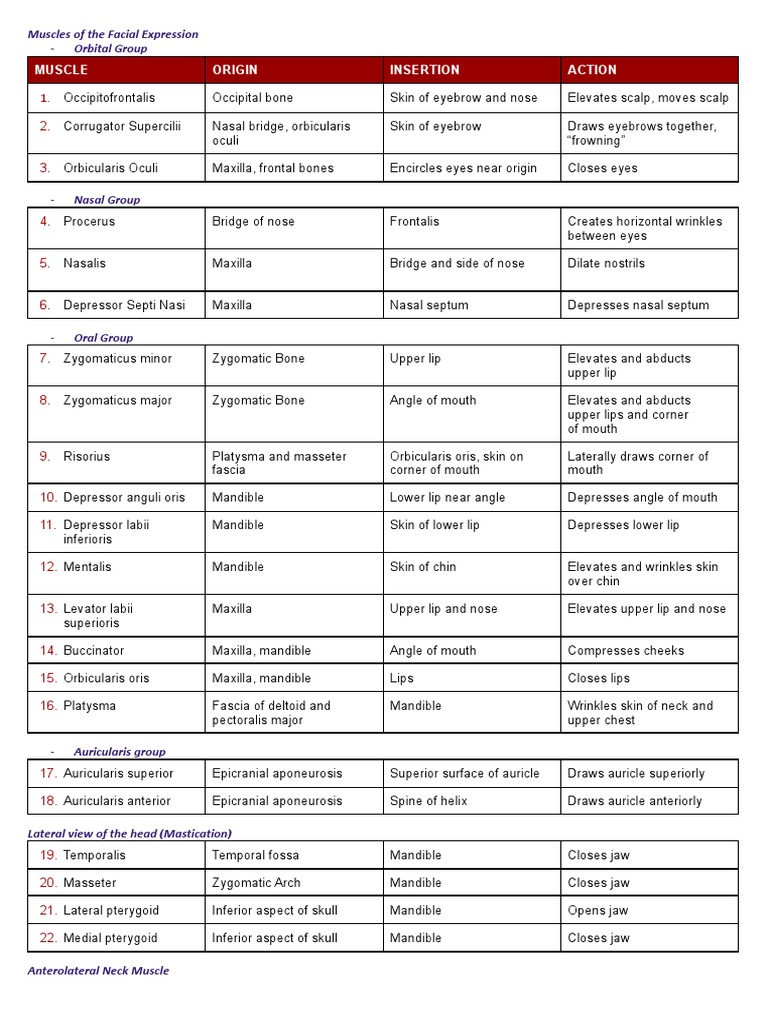 Muscles 1 | PDF