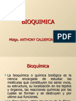 Bioquimica Introduccion Clase