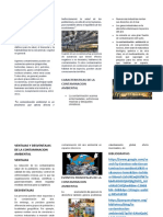 Contaminación ambiental: causas, efectos y soluciones