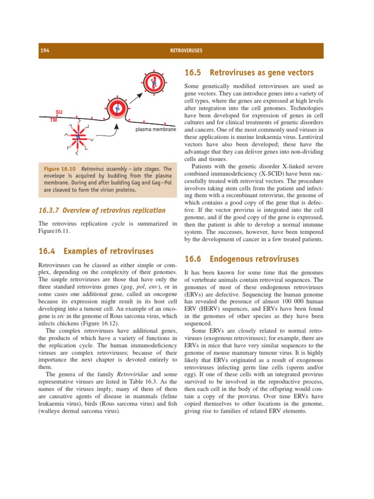 Overview of Retroviruses and Their Functions | PDF | Retrovirus | Viral ...