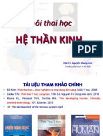 LEC1.S2.8 Phôi Thai Học Hệ TK 1