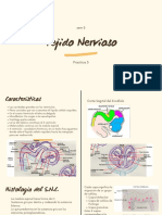 Tejido Nervioso - Sem 5