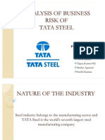 Tata Steel Risk Analysis