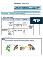 Sesion de Aprendizaje Relaciones Troficas