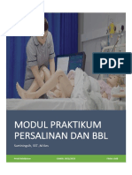 Panduan Praktikum Persalinan Dan BBL