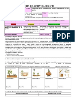 Ficha N°29 Sistema Reproductor en Las Plantas