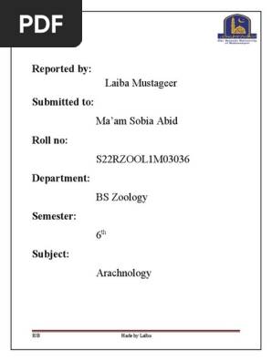 laiba's assignment