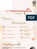Pneumocystis