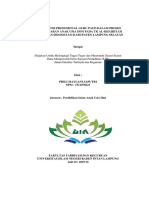 Kompetensi Profesional Guru PAUD Dalam Proses Pembelajaran Anak Usia Dini Pada TK Al-Khairiyah Kecamatan Sidomulyo Kabupaten Lampung Selatan