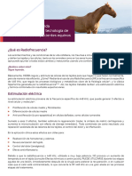 Animal-Health-Ebook Equine Spanish
