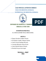 Informe Gye Sem 13