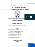 Informe Gye Sem 11