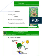 Glicídios - conceitos gerais 