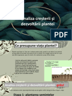 Analiza Creșterii Și Dezvoltării Plantei