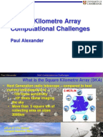 PAlexander SKA Computational Challenges