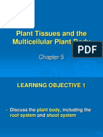 Plant Body Chap5