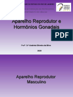 Aparelho Reprodutor e Hormonios Gonadais 