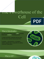 The Powerhouse of The Cell