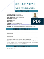 Curriculum Pedro Pablo (PEDROPABLO PEÑALOZADORIA)
