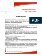 Sistema Nervioso: Estructura, Funciones y División del SNC y SNP en