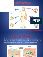 Sistema endocrino: hormonas y glándulas clave