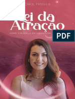 Lei Da Atração