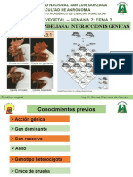 Semana 7 Sesion 7 TLas Interacciones Genicas