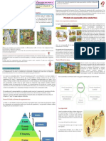 CCSS 1°y2° - SEM.1-EDA8 actividad 1