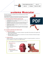 Sistema-Muscular - 4TO