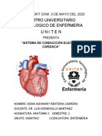 SISTEMA DE CONDUCCIÓN ELECTRICA CARDIACA