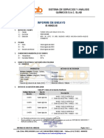 Informe de Ensayo Ie-180822-02, Fundo San Luis Siglo Xxi E.i.r.l., (S-4673 S-4676)