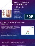 Canalización Venosa y Arterial Umbilical NEONATAL