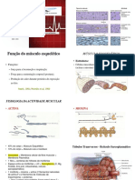 6 - Sistema Musculo Esquelético