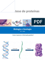 Proteína síntese código genético transcrição tradução