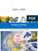 48 Dna