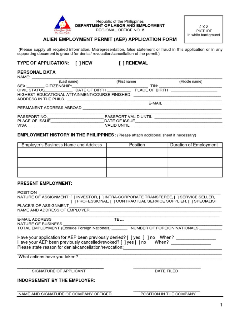 AEP Application Form | PDF | Travel Visa | Passport