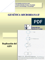 5 Genetica Microbiana II 22