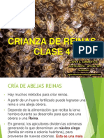 CRIANZA DE REINAS CLASE 4