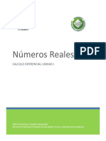 Numeros Reales