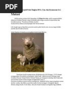 Download Mutasi Dapat Terjadi Pada Tingkat DNA GEN Dan KROMOSOM by Dinnar Kusumawati Deden SN6108784 doc pdf