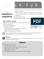 Anatomia Tema 4 y 5