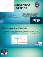 Aminoacidos Basicos Grupo 8
