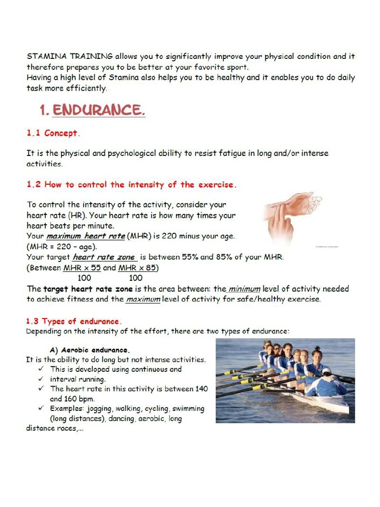 Stamina Notes | PDF