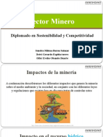Presentacion Sector Minero