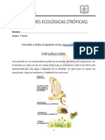 Guia Piramides Ecologicas Nm1a NM1B Biologia