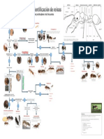 Identificación de Reinas Peninsulares - InCONCLUSO