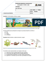 Prova 3º ano - 1ª Etapa 2º Semestre- Cota